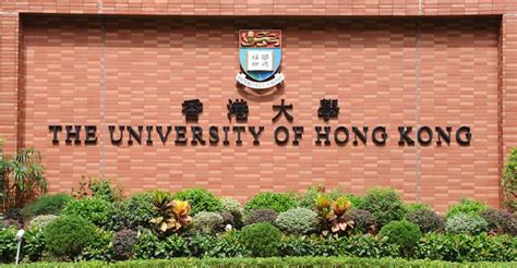 香港九大大學|香港大學排名2024｜十大大學本地排名出爐！港大/中 